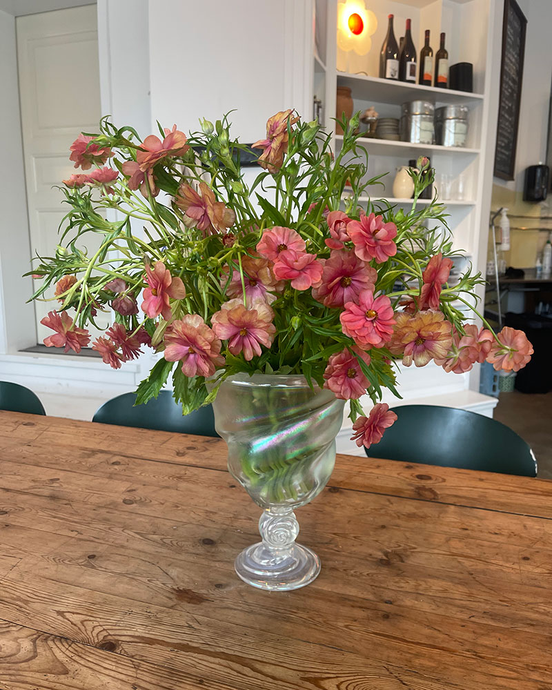 A bunch of roses with a pearl necklace and coffee